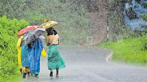 Kerala weather update: Flood warning in Wayanad as shutters of Banasura ...