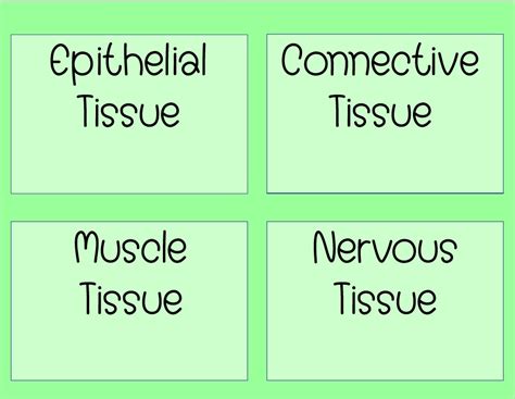 Identifying Tissue Types 的图像结果