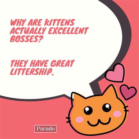 70 Funny Cat Jokes Fur You Right Meow - Parade Pets