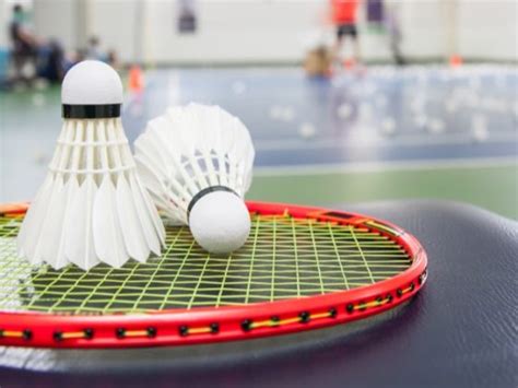 Outdoor Games Badminton 的图像结果