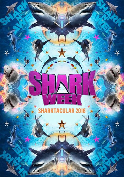 Image result for Shark Week 2016