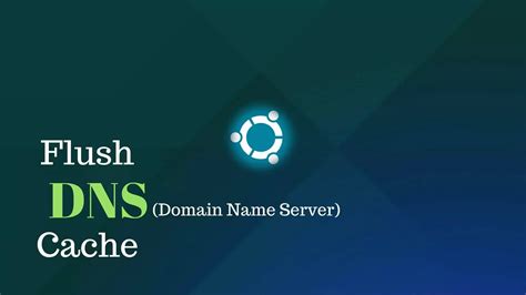 What is Flush DNS? How to Clear DNS Cache on Computers and Browsers
