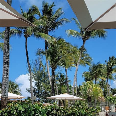 MARGARITAVILLE VACATION CLUB AT WYNDHAM RIO MAR (Puerto Rico/Rio Grande ...