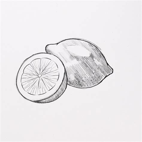 Image result for Simple Lemon Drawing