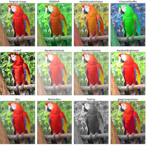 Image result for How to Read Image Dataset Using Pytorch
