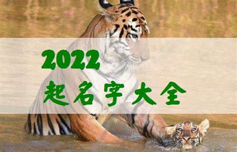2022年属虎宝宝名字,适合属虎的名字,20年属虎_大山谷图库
