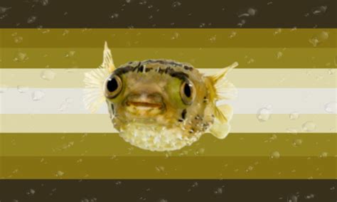 Funny Puffer Fish Meme
