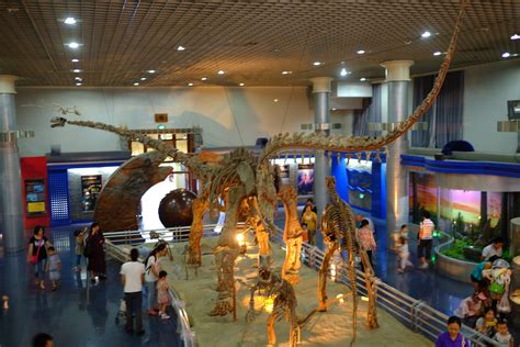 南京古生物博物馆将于2021年1月1日起正式对外开放_资讯_资讯_凤凰艺术