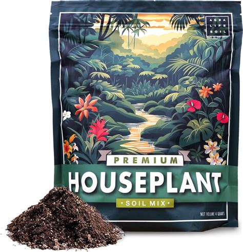 Amazon.com : Premium Houseplant Soil Mix for Indoor & Outdoor Plants ...