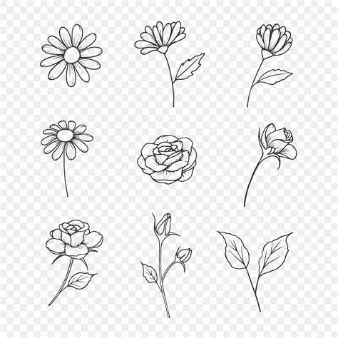 Hand Drawn Flowers