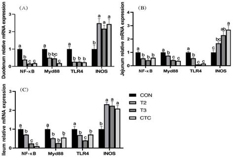 The Effects of Tea Polyphenols in Feed on the Immunity, Antioxidant ...