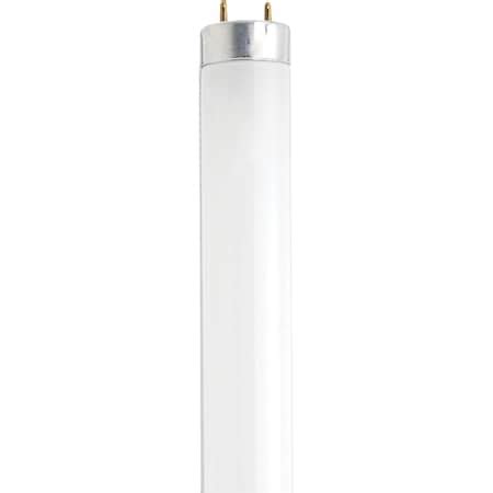 Satco 13W - 12 Inch Fluorescent T8 - 4100K - Cool White - G13 base ...