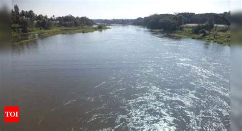 CPCB prohibits opening of new retail fuel stations near water bodies ...