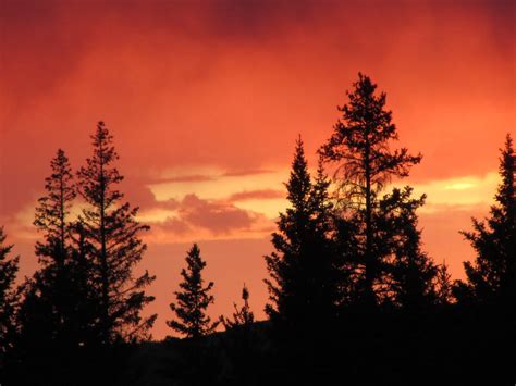 Ranger Creek Campground | WY | Camping Information & Reviews