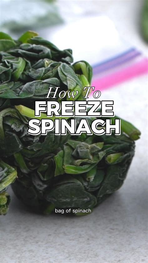 Can You Freeze Spinach