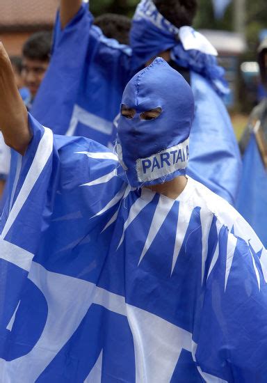 Party Member 的图像结果