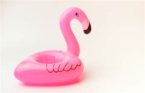 Image result for How to Deflate Inflatable Flamingo