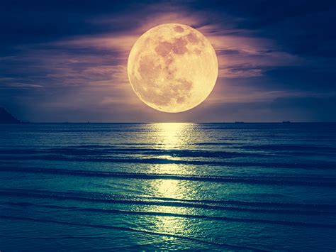 Image result for Weather Programs