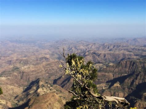 TEJ TRAVEL (2026) All You Need to Know BEFORE You Go (with Photos ...