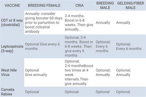Crater Animal Clinic