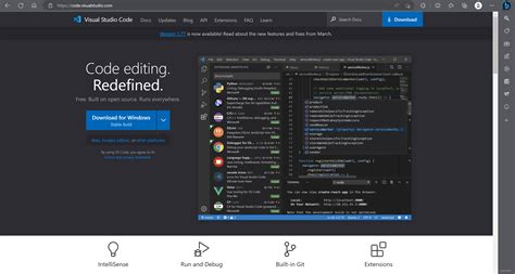 vs Code Downloader 的图像结果