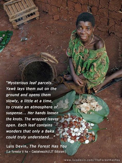 Baka Pygmies: Cameroon’s Forest People and Their Musical Heritage