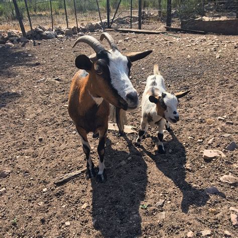 LA FERME DE PADULA (2025) All You Need to Know BEFORE You Go (with ...