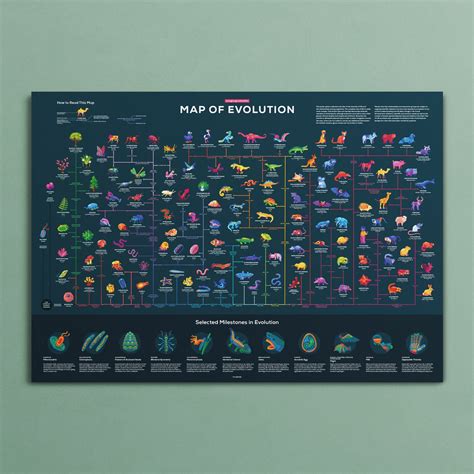 Map Evolution 的图像结果