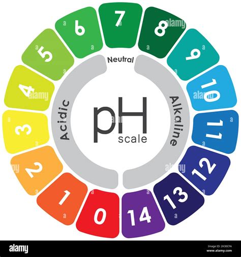 Acidic And Alkaline Solution pH Value Scale Chart. Infographic Balance ...