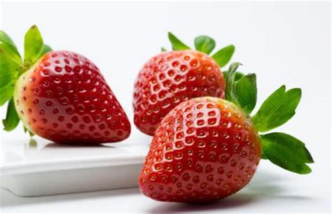草莓怎么保存会时间长一点？草莓放冷藏还是常温好？（草莓怎样保存时间长一点）-创业也