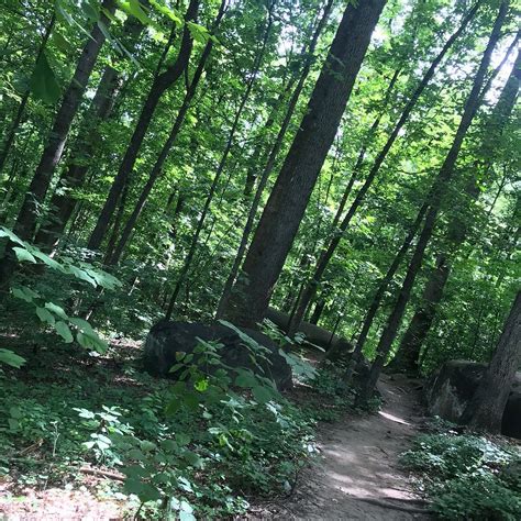 BIG ROCK NATURE PRESERVE (Charlotte) - All You Need to Know BEFORE You Go