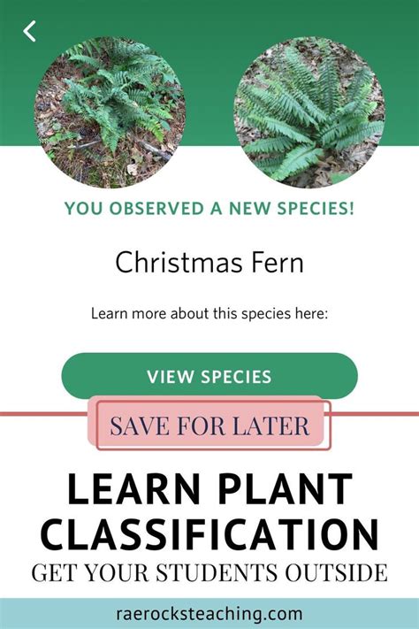 Image result for CLIL Lesson On Classifying Plants