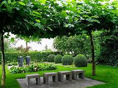 ich suche garten buxus in moderne tuin suche kleine g 228 rten ich suche garten buxus in moderne tuin suche kleine g 228 rten