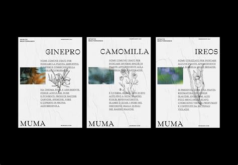 MUMA Logo 的图像结果