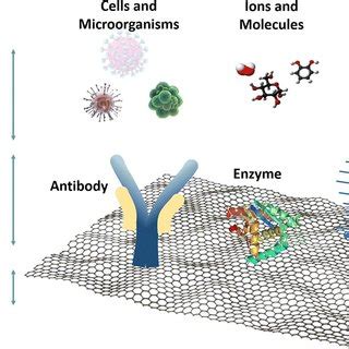 Image result for Loc Making Machine for Micro OCS