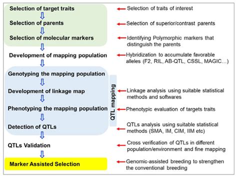 An Overview of Mapping Quantitative Trait Loci in Peanut (Arachis ...