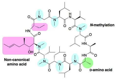 Technologies for the Synthesis of mRNA-Encoding Libraries and Discovery ...