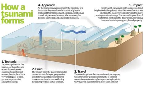 Causes of tsunami - GEOGRAPHY MYP/GCSE/DP