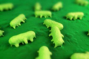 FDA's Food Safety Challenge Seeks Speedier Salmonella Detection