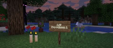 Image result for Minecraft 1.17.1 Java Faarms