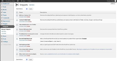 Code Snippets Plugin Tutorial 的图像结果