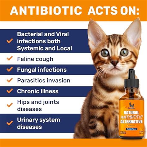 Clear Max Antibiotics For Cats In Drops At Respiratory Infection ...