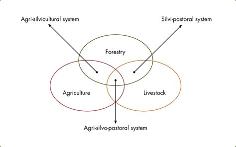 Agroforestry Systems 的图像结果
