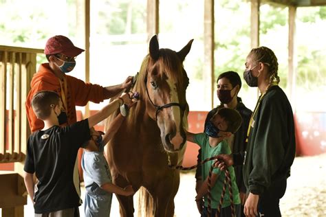 Volunteer at Double H Ranch: Camp For Children With Serious Illnesses