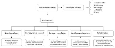 Post-Cardiac Arrest: Mechanisms, Management, and Future Perspectives