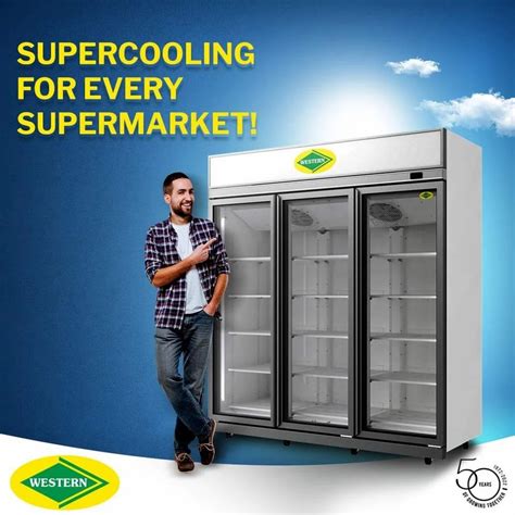Deep Freezer - Haier Visi Cooler Wholesaler from Patna