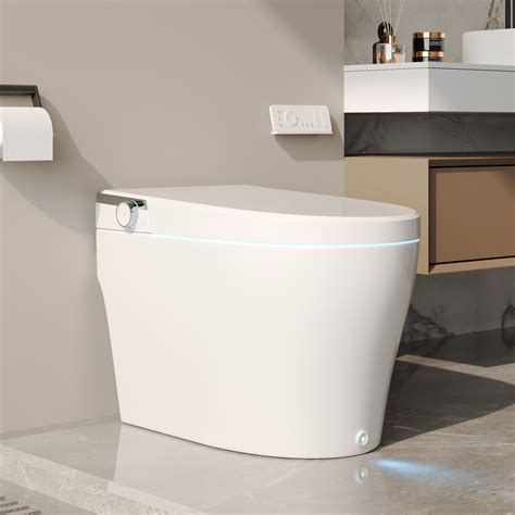 Lowe's Best Sellers: Bidets