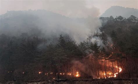 From earthquake to wildfire: Five deadly tragedies that shook the world ...