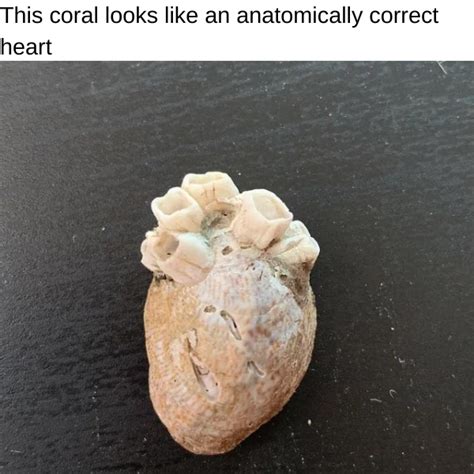 10 Mildly Interesting Things to Slightly Pique You