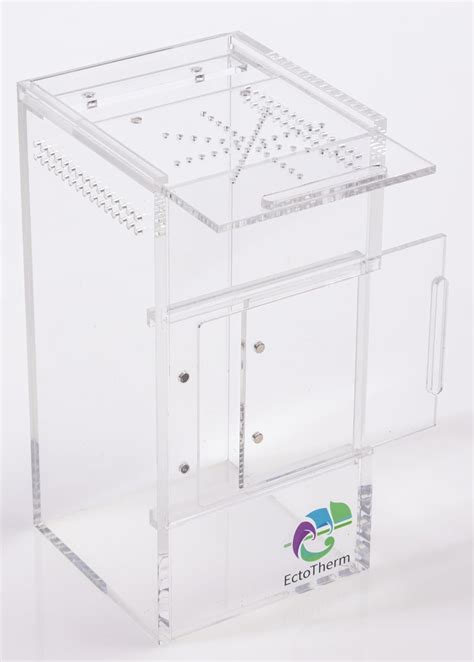EctoTherm Jumping Spider Enclosure - Complete Australia | Ubuy